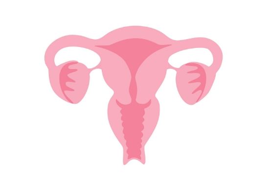 Cervix score